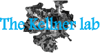 The Kellner Lab
